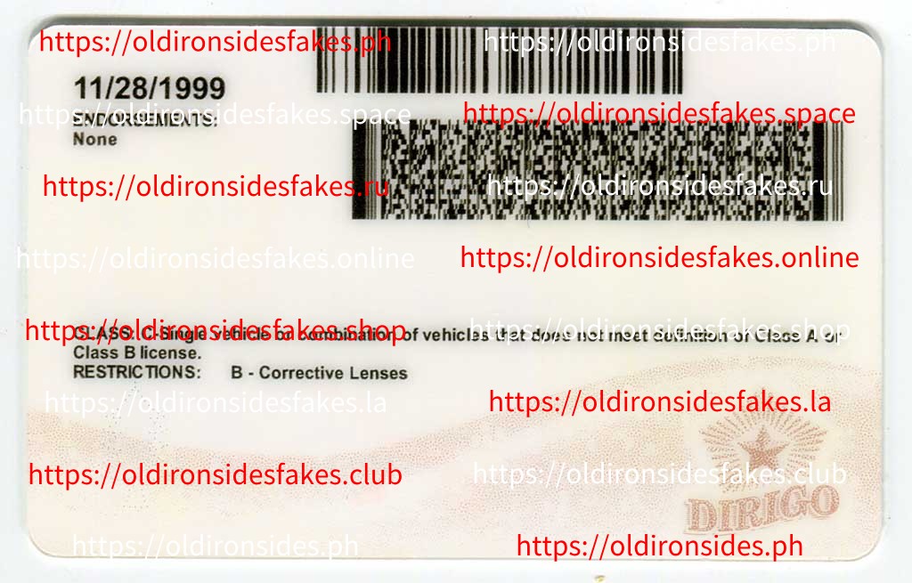 Maine Driver License (New ME) - Image 4