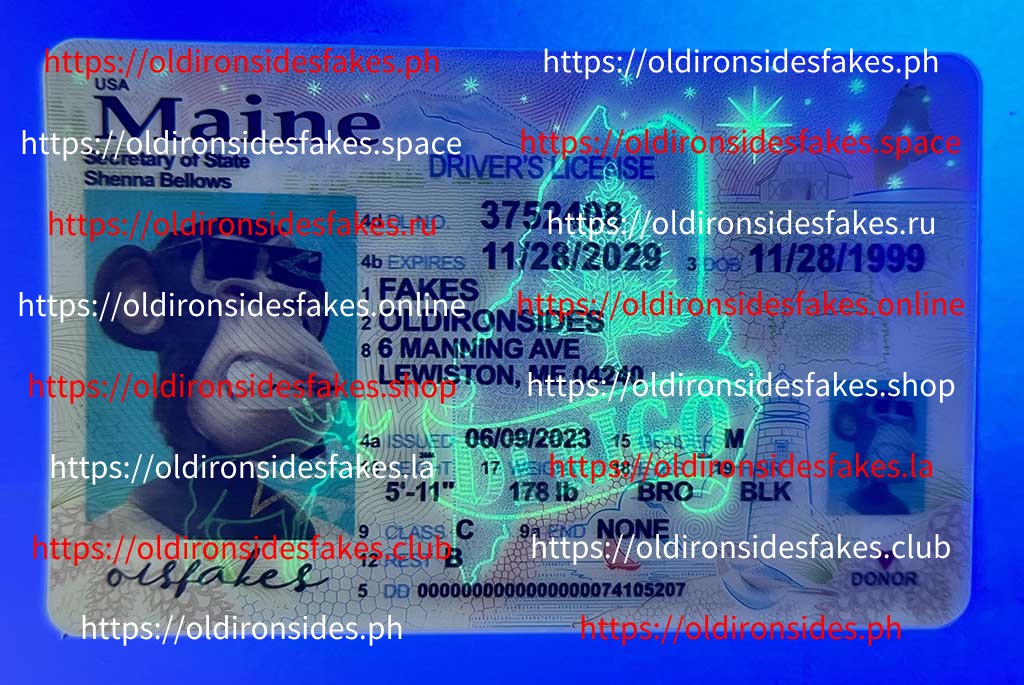 Maine Driver License (New ME) - Image 3