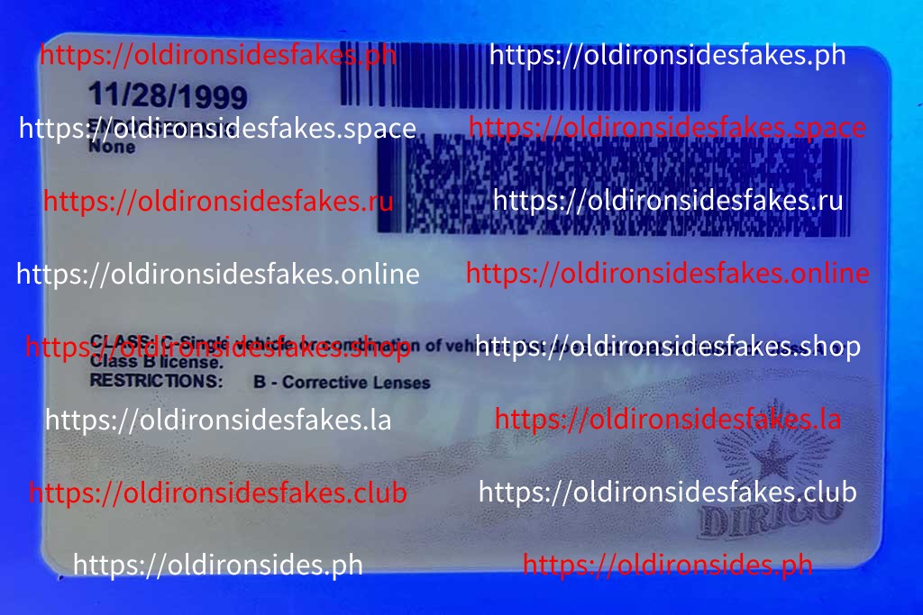 Maine Driver License (New ME) - Image 2