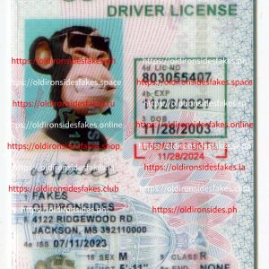 Mississippi Driver License (MS U21)