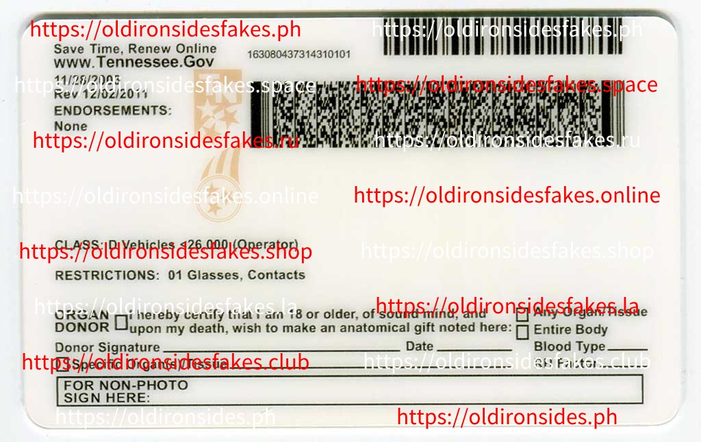 Tennessee Driver License(TN U21) - Image 4