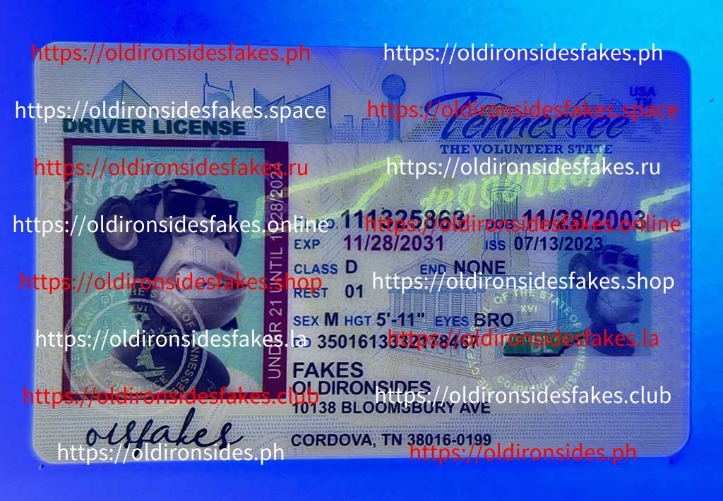 Tennessee Driver License(TN U21) - Image 3
