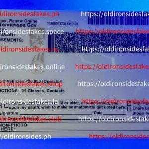 Tennessee Driver License(TN U21)