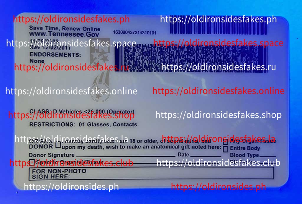 Tennessee Driver License(TN U21) - Image 2