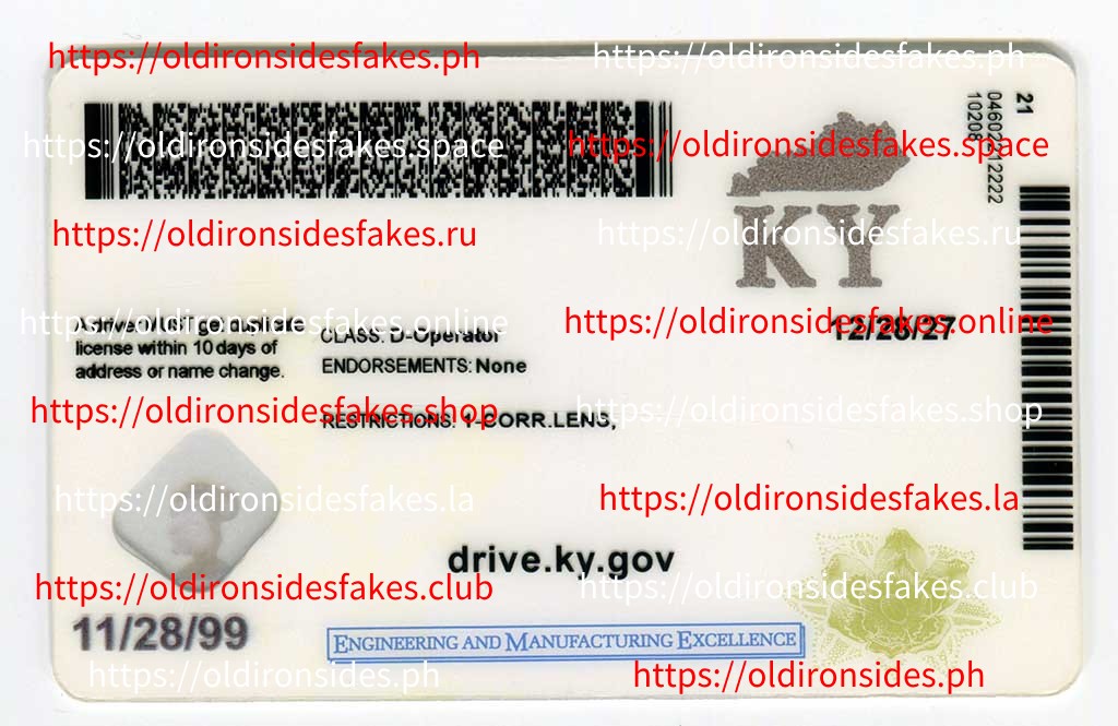 Kentucky Driver License(KY) - Image 4