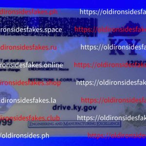 Kentucky Driver License(KY)