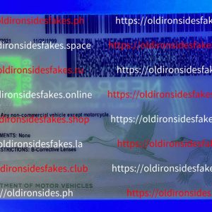 Nebraska Driver License (NE)