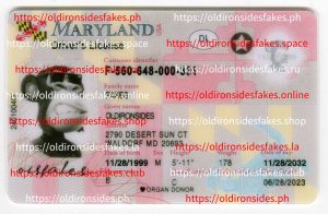 Maryland Driver License (New MD)