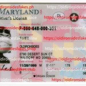 Maryland Driver License (New MD)