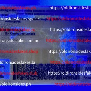 Maryland Driver License (New MD)