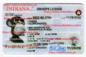 Indiana Driver License(New IN)