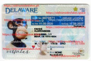 Delaware Driver License(Old DE)