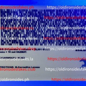 Delaware Driver License(Old DE)