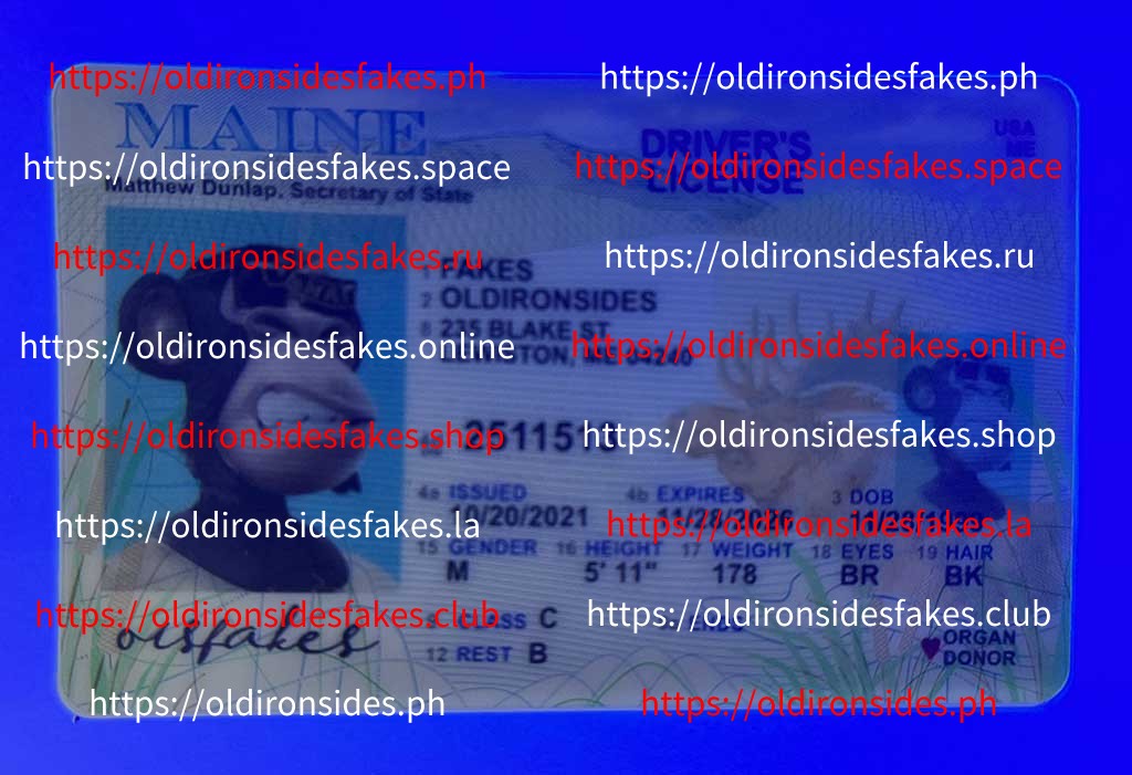 Maine Driver License (Old ME) - Image 5