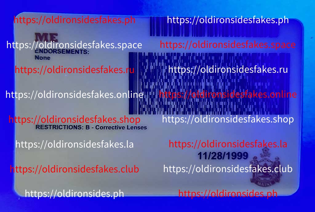 Maine Driver License (Old ME) - Image 4