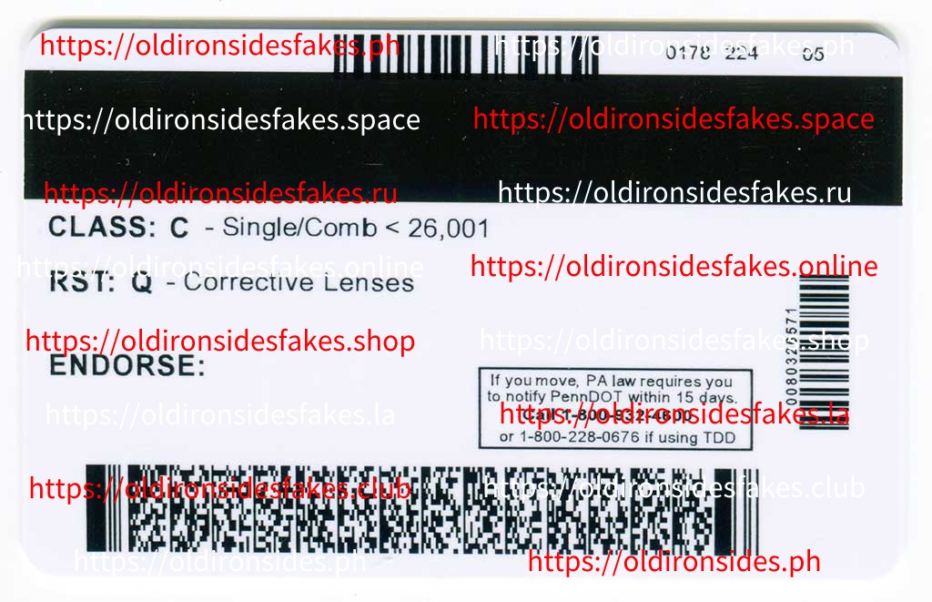 Pennsylvania Driver License(Old PA) - Image 4