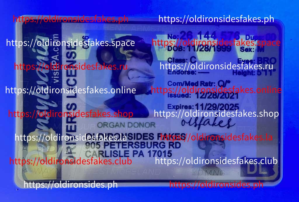 Pennsylvania Driver License(Old PA) - Image 3