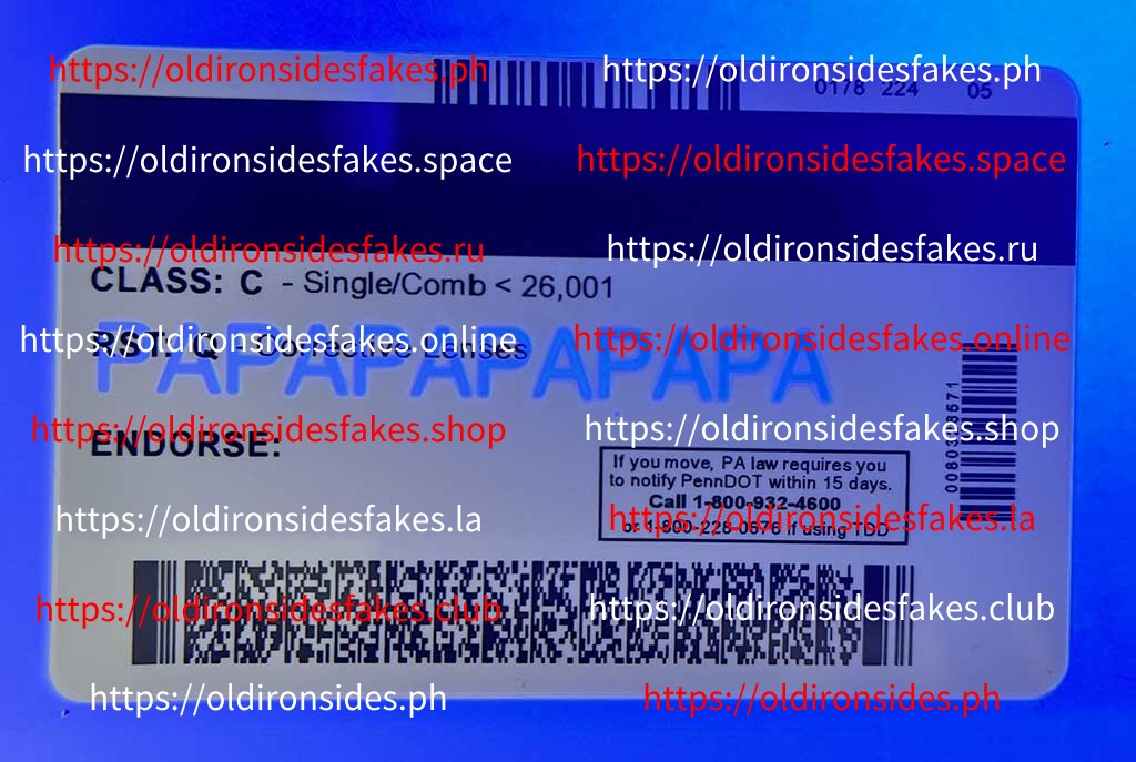 Pennsylvania Driver License(Old PA) - Image 2