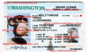 Washington Driver License(New WA)