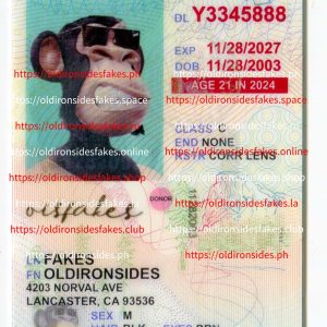 California Driver License (Old CA U21)
