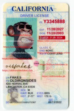 California Driver License (Old CA U21)