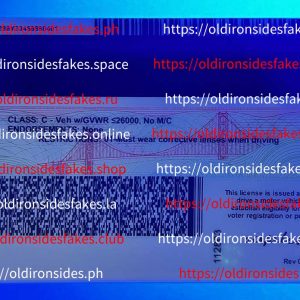 California Driver License(Old CA U21)