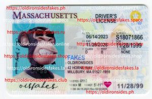 Massachusetts Driver License (New MA O21)