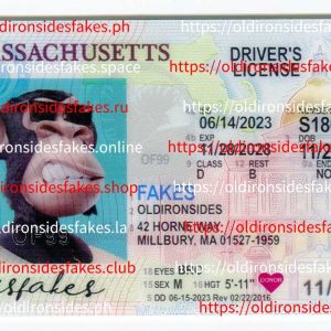 Massachusetts Driver License (New MA O21)