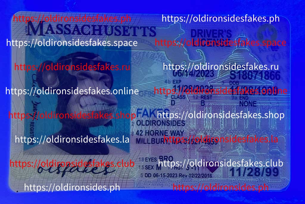 Massachusetts Driver License (New MA O21) - Image 3