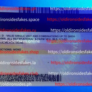 Minnesota Driver License (Old MN)