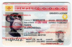 New Mexico Driver License (NM)