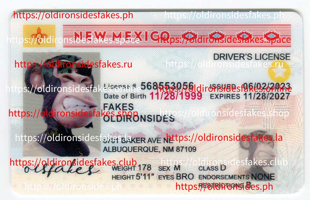 New Mexico Driver License (NM)