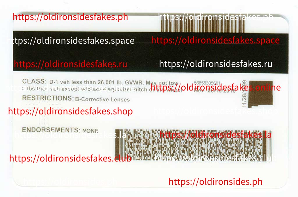 New Mexico Driver License (NM) - Image 5