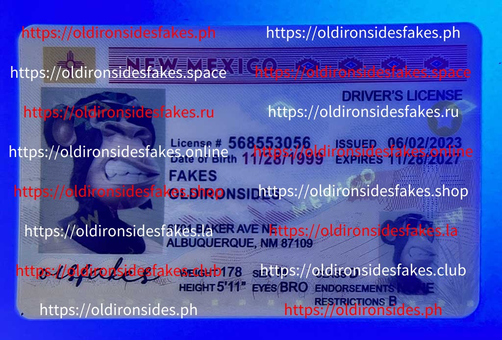 New Mexico Driver License (NM) - Image 4