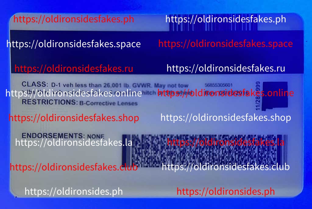 New Mexico Driver License (NM) - Image 3