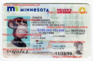 Minnesota Driver License (New MN)