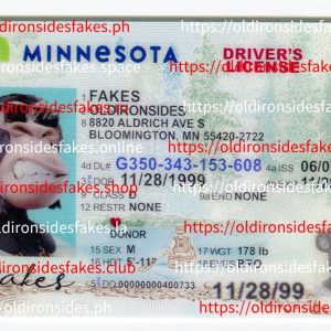 Minnesota Driver License (New MN)