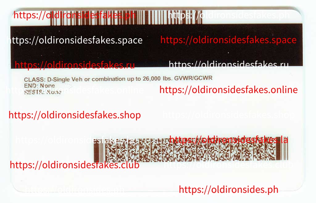 Minnesota Driver License (New MN) - Image 4