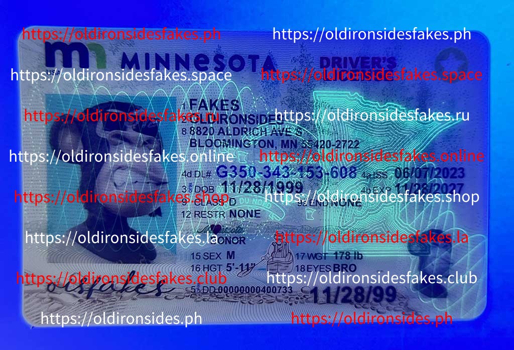 Minnesota Driver License (New MN) - Image 3