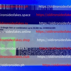 Minnesota Driver License (New MN)