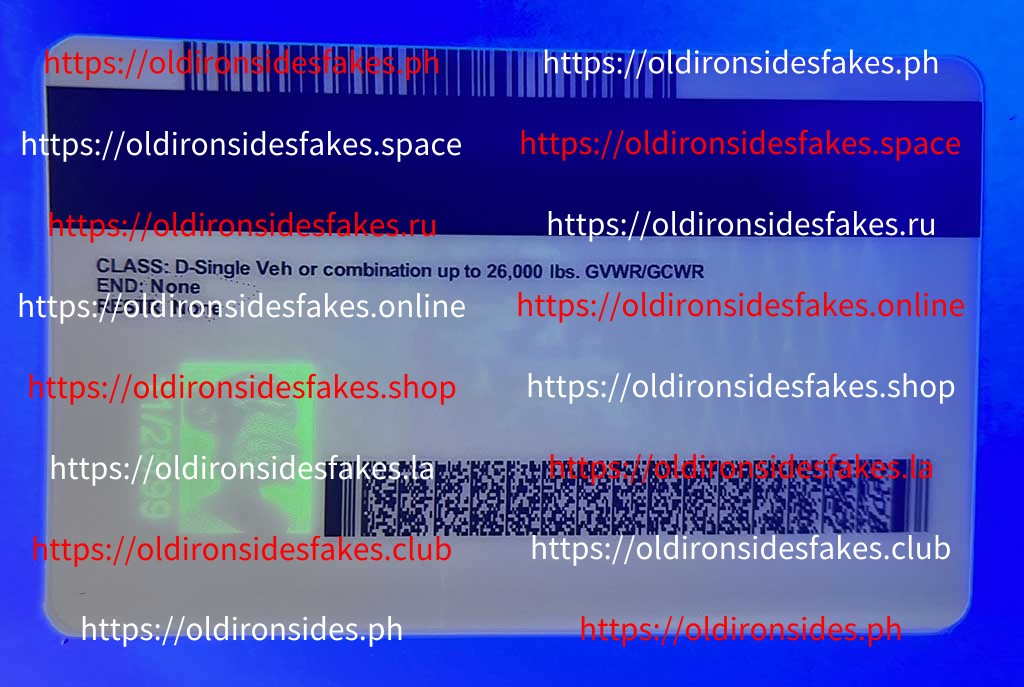 Minnesota Driver License (New MN) - Image 2