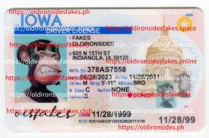 Iowa Driver License (IA)