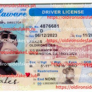Delaware Driver License(New DE O21)