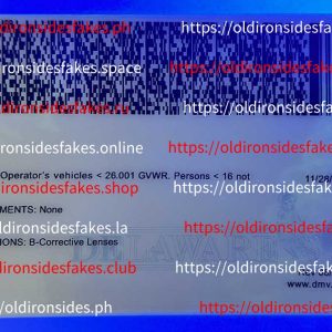 Delaware Driver License(New DE O21)