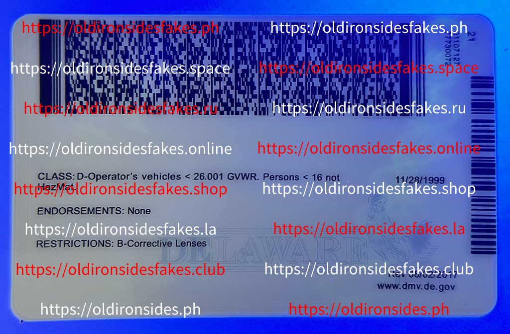 Delaware Driver License(New DE O21) - Image 2