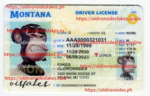 Montana Driver License (MT)