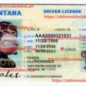 Montana Driver License (MT)