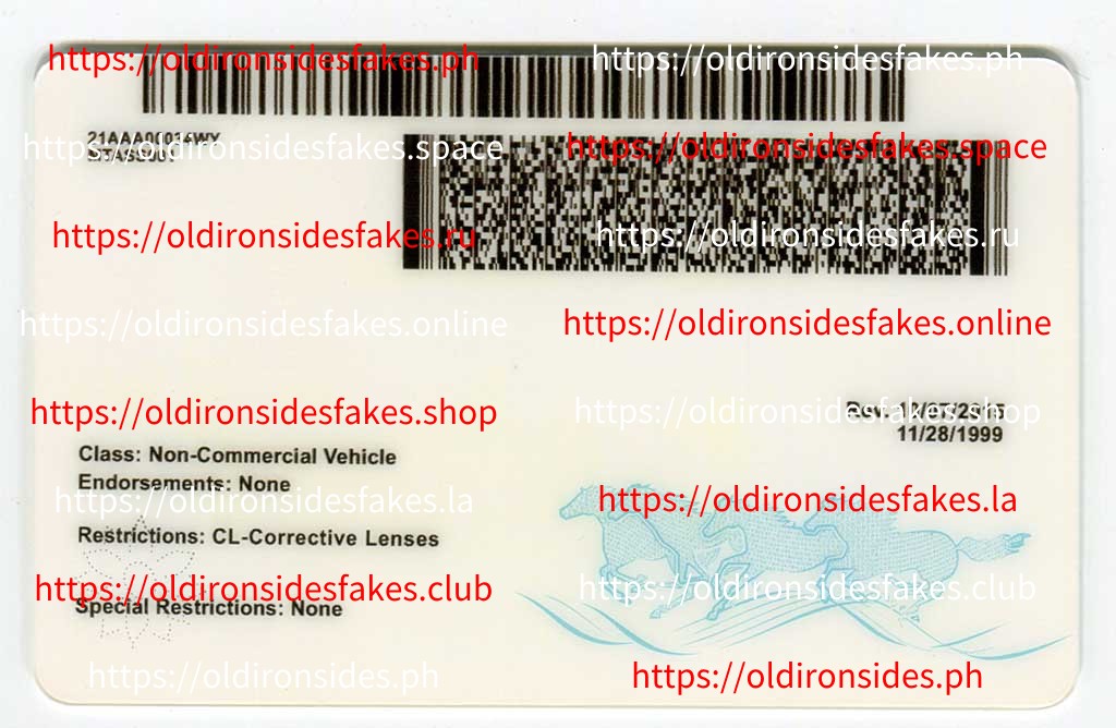 Montana Driver License (MT) - Image 4