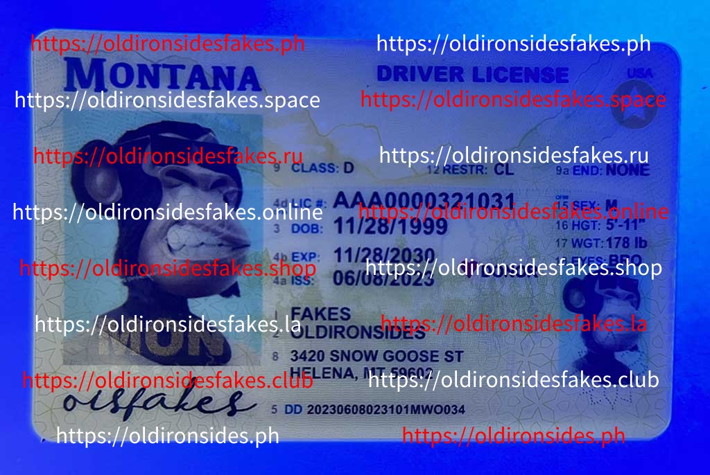 Montana Driver License (MT) - Image 3