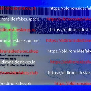 Montana Driver License (MT)